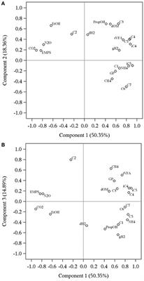 Redirection of Metabolic Hydrogen by Inhibiting Methanogenesis in the Rumen Simulation Technique (RUSITEC)